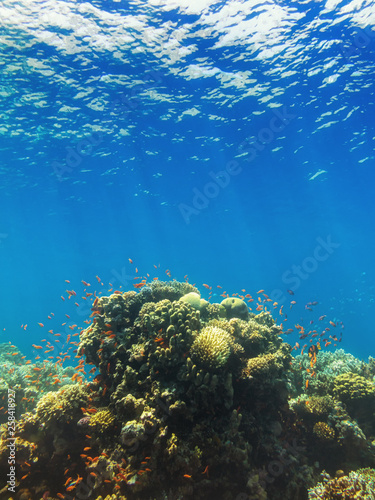 sea reef and water depth