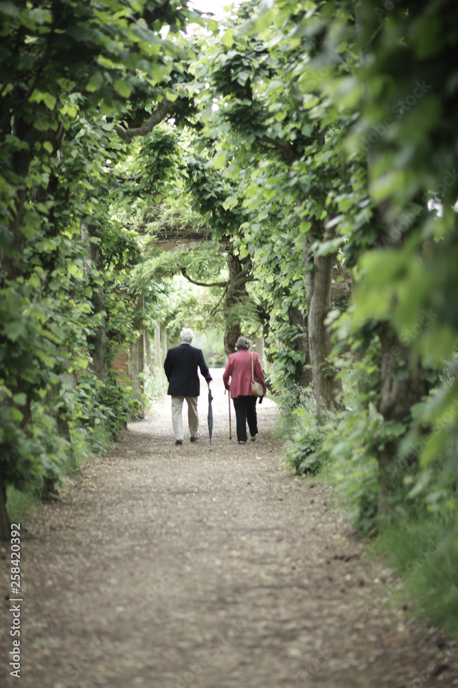 Obraz premium Wellness Walk