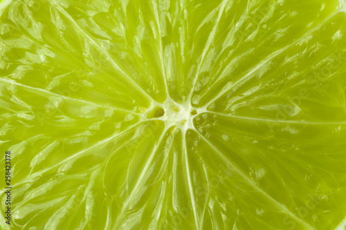 A slice of lime is a large species.