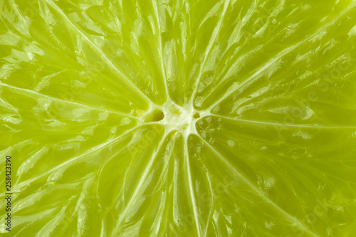 A slice of lime is a large species.