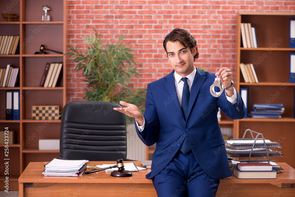 Fototapeta premium Young handsome lawyer working in his office