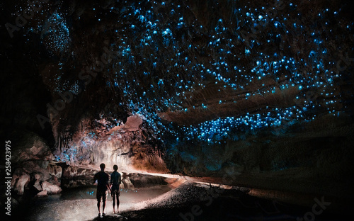 Fototapeta Under a glow worm sky - couple shining a light into Waipu cave filled will glow