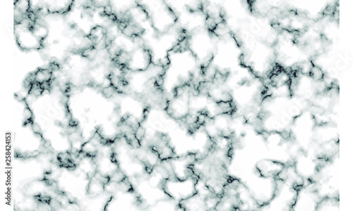 Vector marble pattern. White and gray marble texture