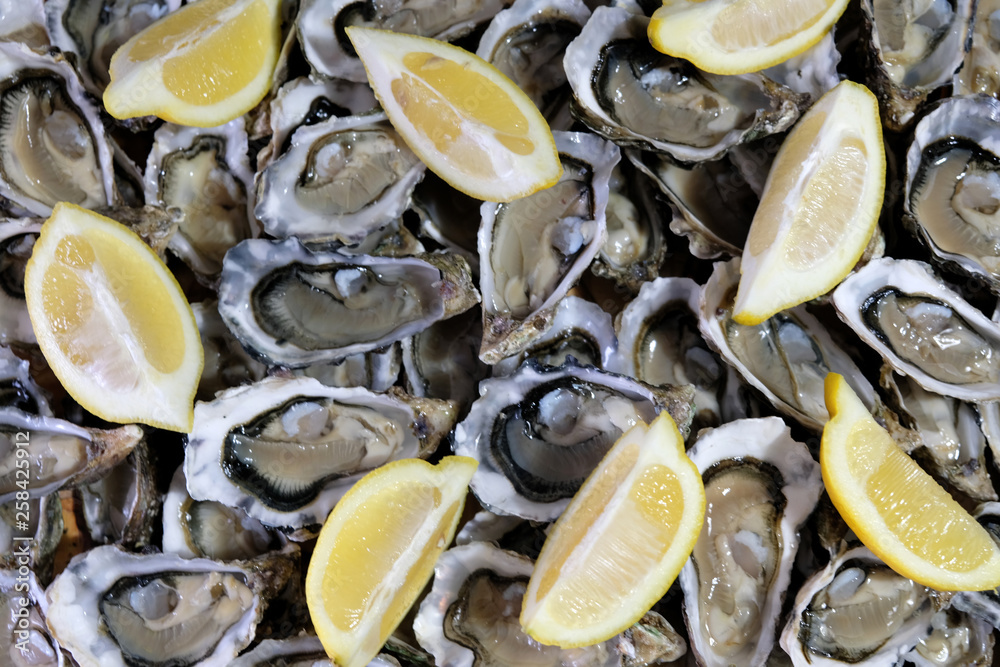 Delicious plate of French oysters with slices of lemon Delicious plate of French oysters with slices of lemon