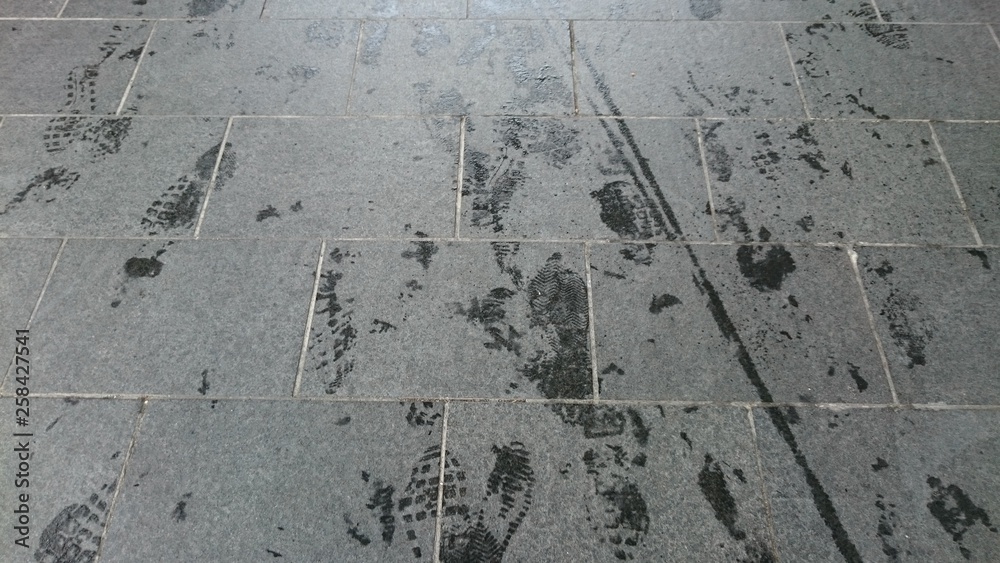 Obraz premium 足跡