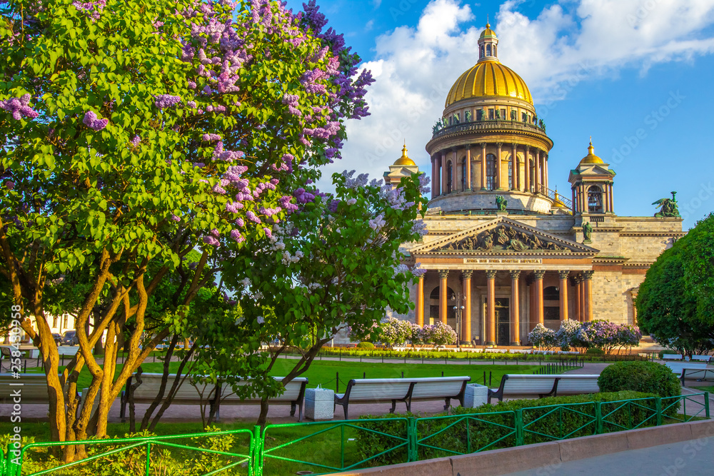St. Petersburg. Center of Petersburg. Saint Isaac's Cathedral. Cities of Russia. Summer day. Perspective of St. Isaac's Square. Blooming lilac flowers in St. Petersburg.