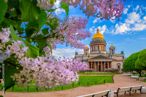 St. Petersburg. Center of Petersburg. Saint Isaac's Cathedral. Cities of Russia. Summer day. Perspective of St. Isaac's Square. Blooming lilac flowers in St. Petersburg. #258430938