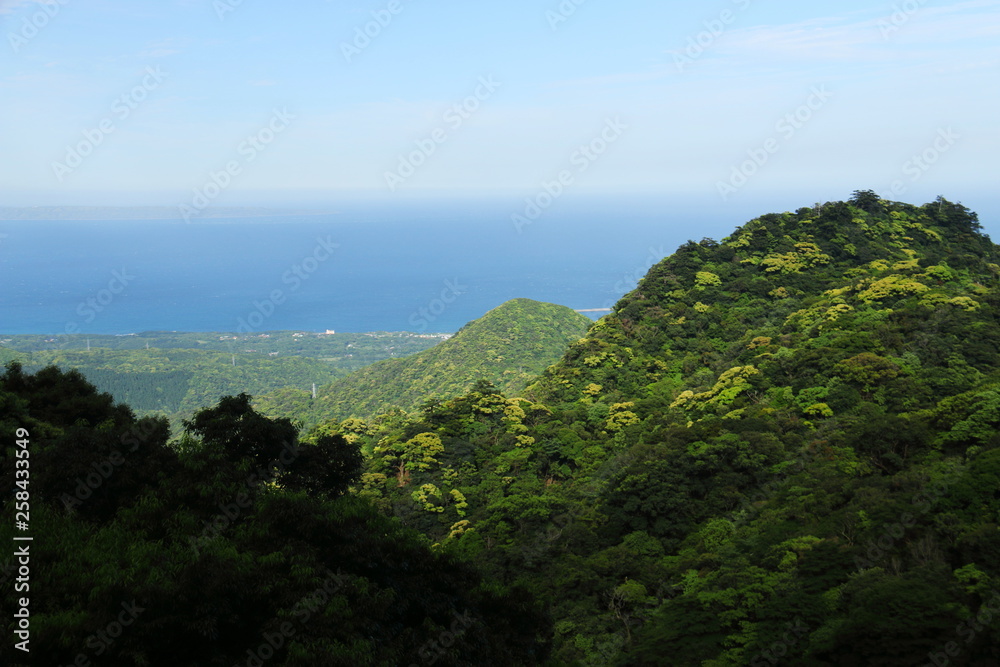 屋久島 宮ヶ浦岳への道から宮之浦港を望む 屋久島 宮ヶ浦岳への道から宮之浦港を望む