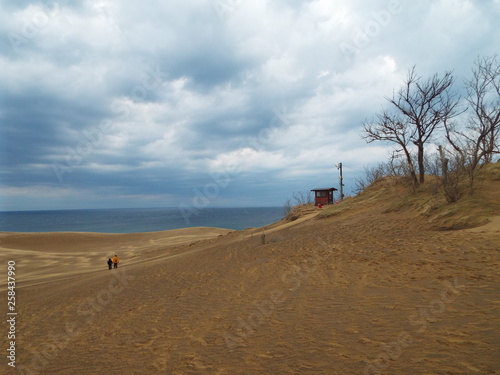 Japan Tottori sakyu Sand dune photo