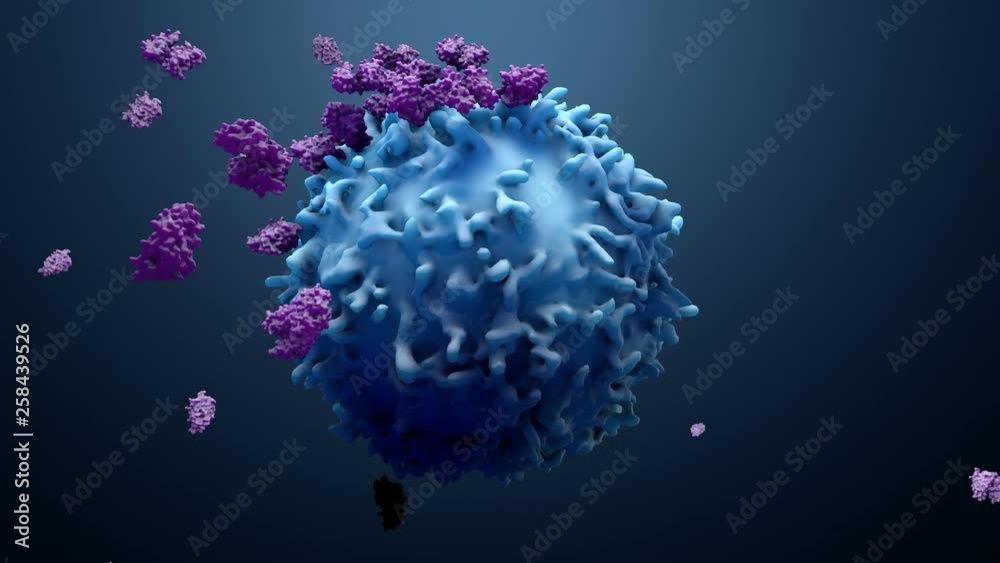 3d illustration proteins with lymphocytes , t cells or cancer cells