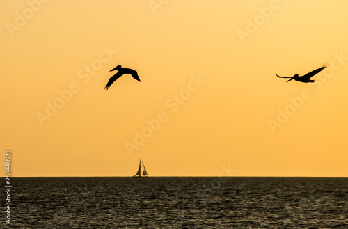Silhouettes of birds flying over water into a golden sky.