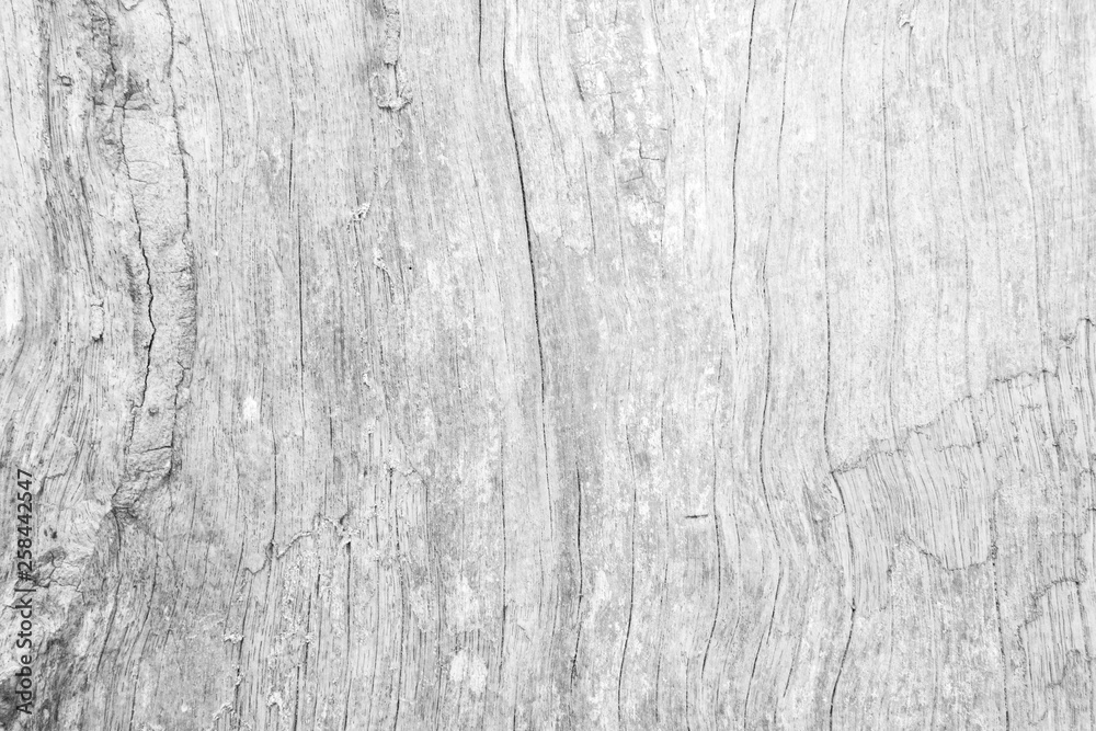 Table top view of wood texture in white light natural color background. Grey clean grain wooden floor birch panel backdrop with plain board pale detail streak finishing for chic space clear concept. Table top view of wood texture in white light natural color background. Grey clean grain wooden floor birch panel backdrop with plain board pale detail streak finishing for chic space clear concept.