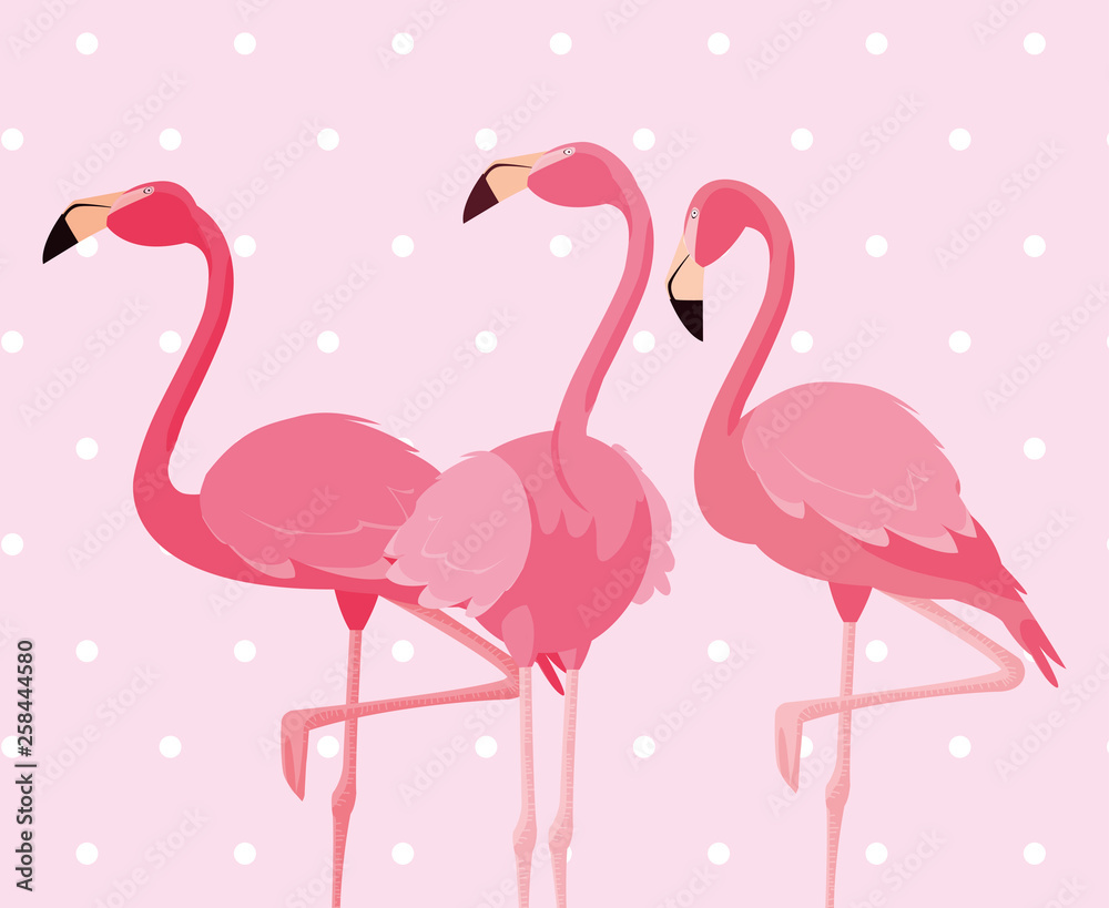 Fototapeta premium flock of elegant flamingos birds dotted background