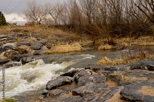 A creek in the fall with dry brown plants and trees around very good picture for some background nature