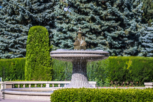 duncan gardens in spokane wshington photo