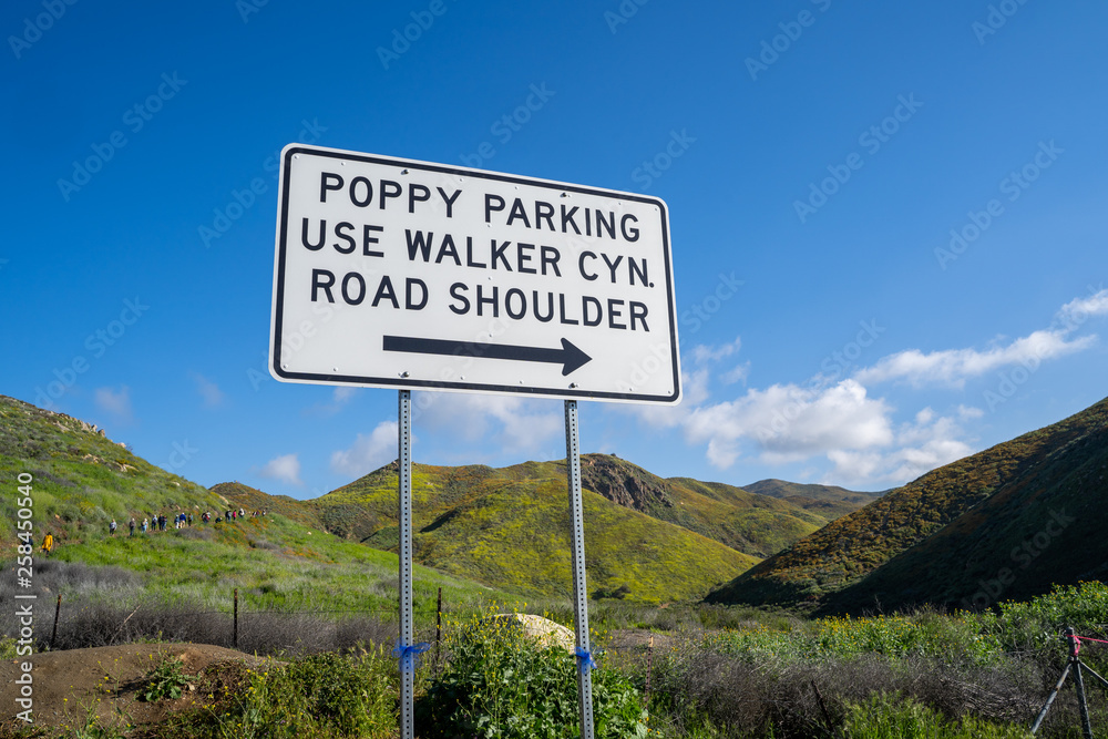 Sign directing visitors to see the superbloom poppies at Walker Canyon in Lake Elsinore California on where to park to start the hike at the trailhead Sign directing visitors to see the superbloom poppies at Walker Canyon in Lake Elsinore California on where to park to start the hike at the trailhead
