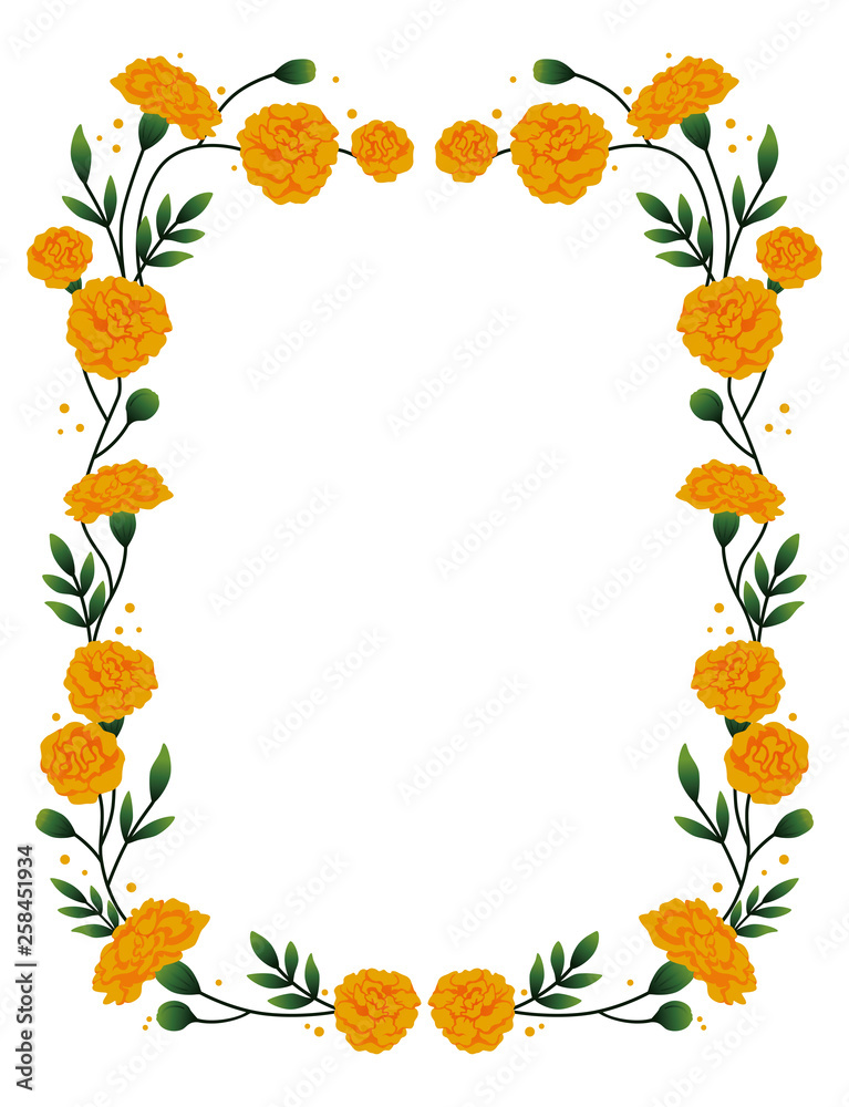 Marigold vertical frame.