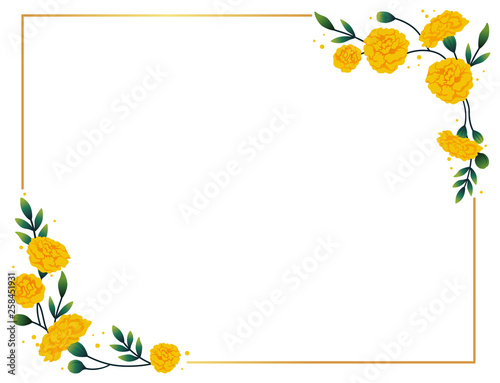 Marigold horizontal frame.