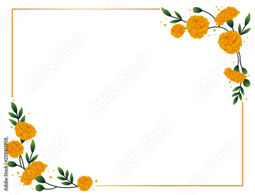 Marigold horizontal frame. photo