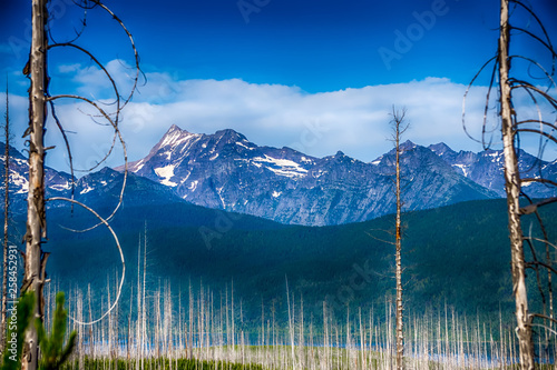 driving along lake mcdonald roads in glacier national park montana photo