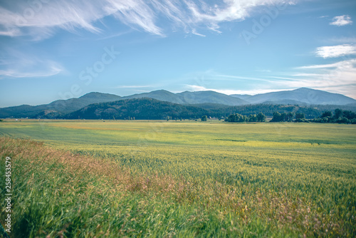 wide open vast montana landscape in summer