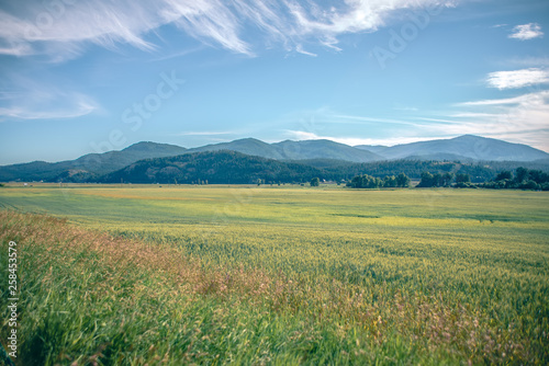 wide open vast montana landscape in summer photo