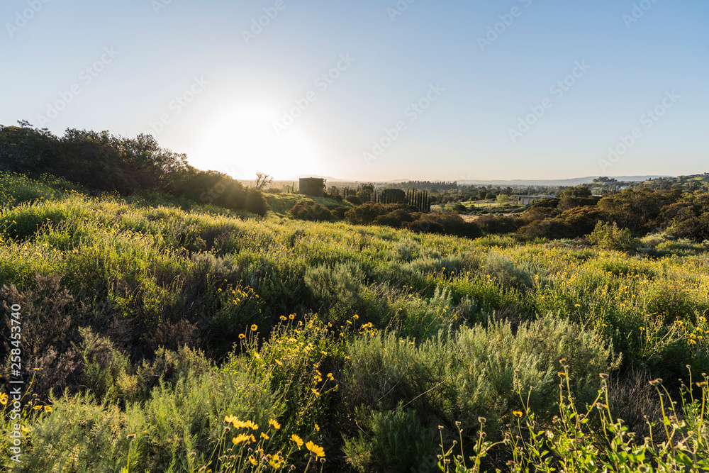 San Fernando Valley spring wildflower meadow sunrise at Santa Susana Pass State Historic Park in Los Angeles, California.  