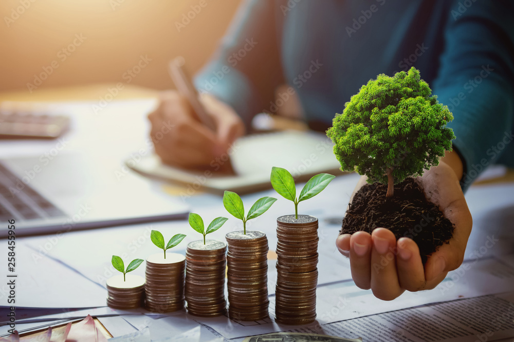 business woman hand holding tree with plant growing on coins. concept saving money and earth day - obrazy, fototapety, plakaty 
