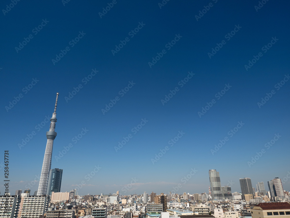Fototapeta premium 東京スカイツリーと住宅街