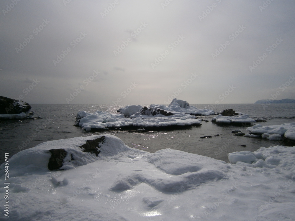 Obraz premium OLYMPUS DIGITAL CAMERA