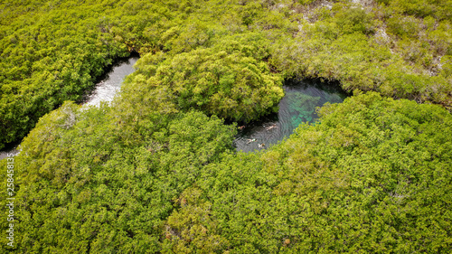 Open mexican cenote