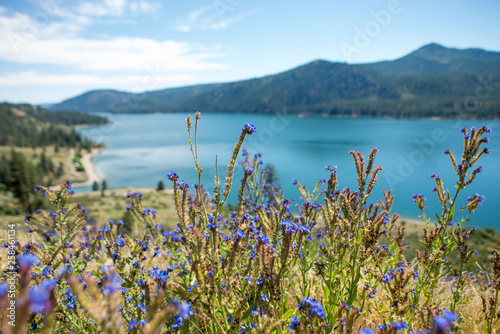 Photography columbia river scenes on a beautiful sunny day