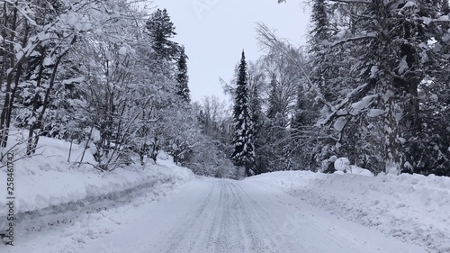 Зимняя дорога © Дмитрий Кротько