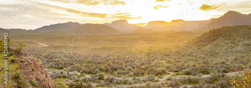 A panorama over the vast Sonoran Desert of Arizona during sunset with mountains in the background and natural vegetation in the for foreground.