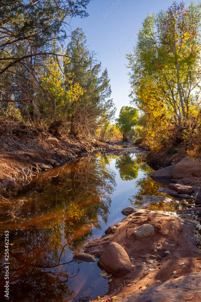 A creek flowing through the red rock desert of Sedona with fall colors.