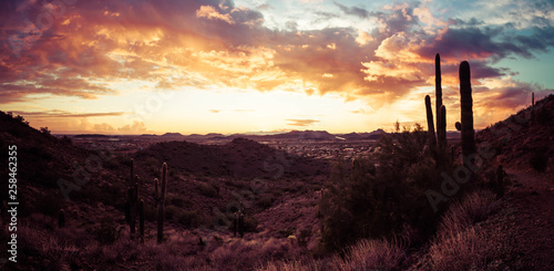A panorama featuring a sunset in the desert outside of Phoenix, AZ. This image looks to the west with saguaro cactus and mountainous desert terrain.