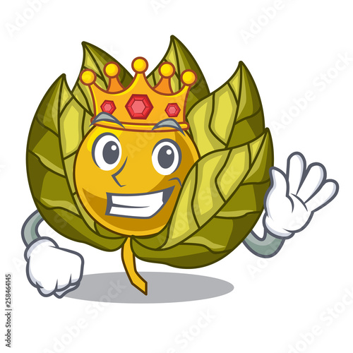 King physalis fruit in the cartoon shape