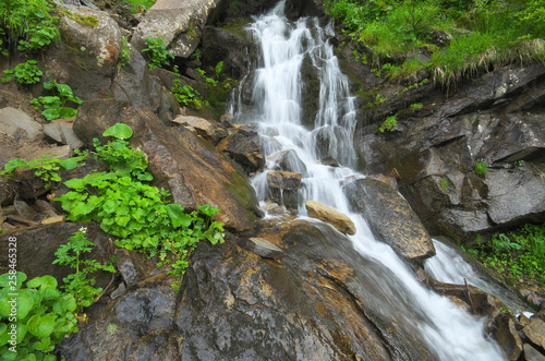 Fototapeta Naklejka Na Ścianę i Meble -  Spring rill flow in mountain.