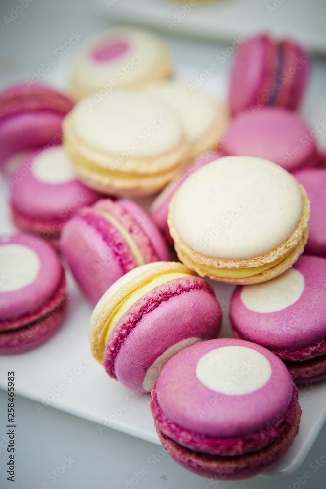 Pink and white macaroon 