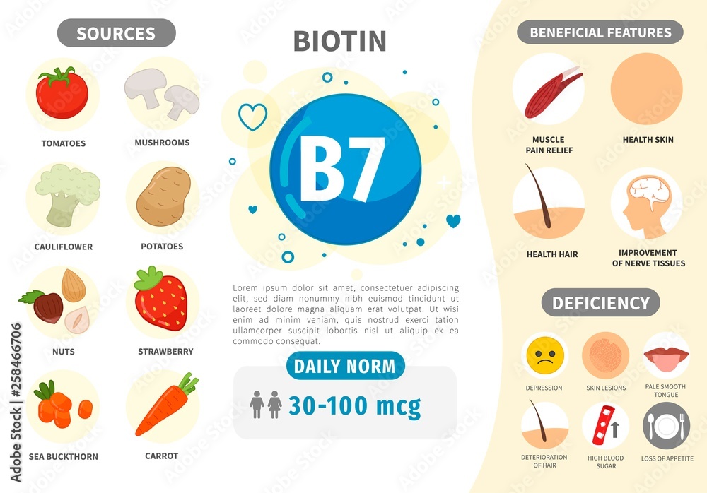 Infographics Vitamin B7. Products containing vitamin. Daily norm
