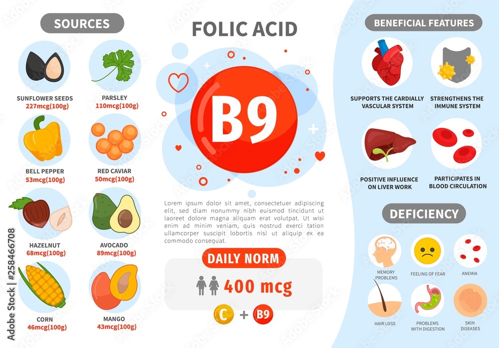 Infographics Vitamin B9. Products containing vitamin. Daily norm. Symptoms of deficiency. Vector medical poster.
