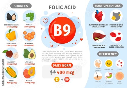 Infographics Vitamin B9. Products containing vitamin. Daily norm. Symptoms of deficiency. Vector medical poster.