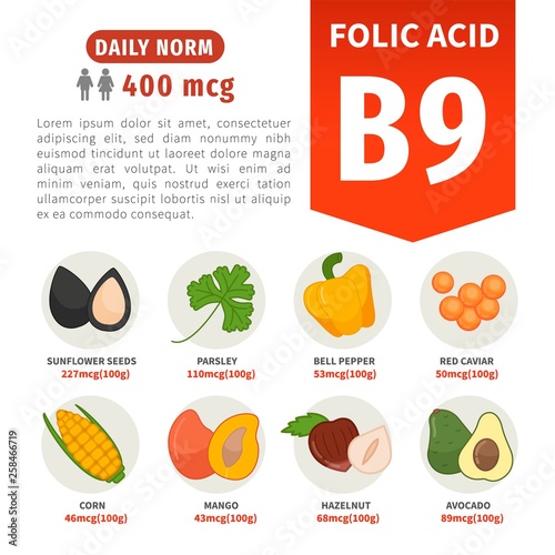Vector poster products with vitamin B9. Cartoon illustrations of products.