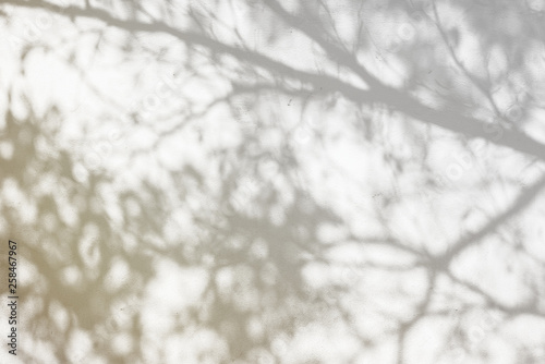 Bild auf Leinwand Abstract shadow background of natural leaves tree