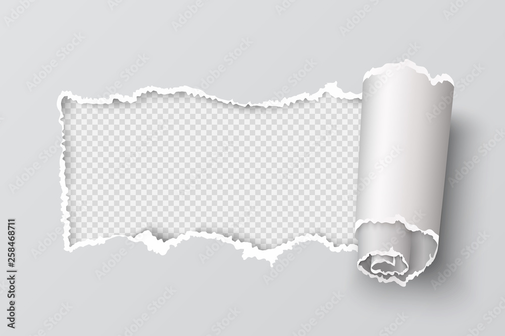 Torn paper edge. Realistic transparent header hole, white page ripped grunge texture, destroyed cardboard element. Vector rip edge