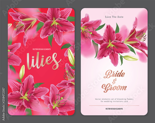 Blooming beautiful pink lily flowers background template. Vector set of blooming floral for wedding invitations, greeting card, voucher, brochures and banners design.