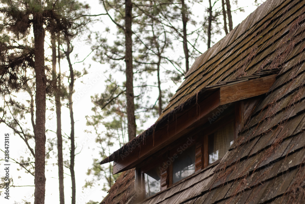 Close up garret window of the little wooden cottage house roof in forest. Log cabin hut with pinewood trees in the morning. Close up garret window of the little wooden cottage house roof in forest. Log cabin hut with pinewood trees in the morning.