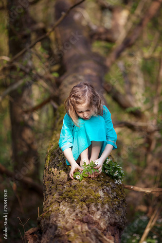 Beautiful little girl in a blue dress walking in the spring wood. Pretty  girl sitting on the tumbled-down tree. Kid playing outdoors in summer. Easter time. © fadzeyeva