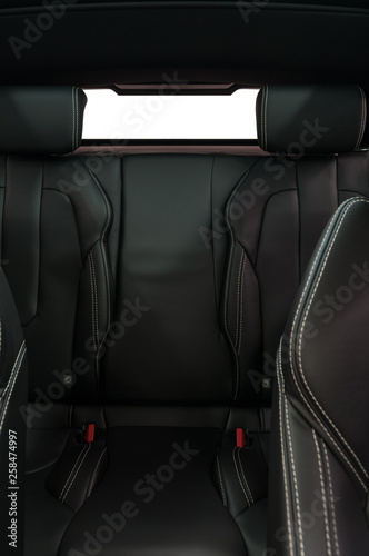 Leather back passenger seats in modern car. Vertical photo.