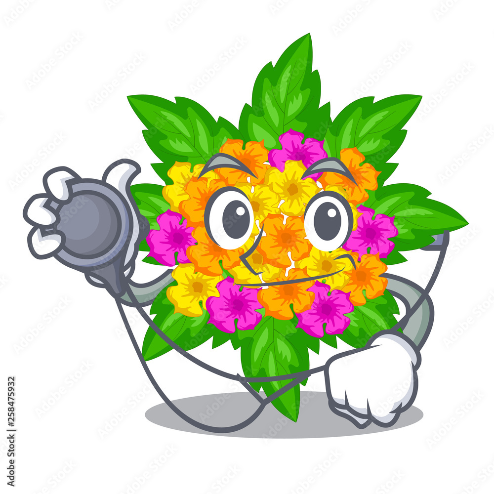 Doctor lantana flowers in the mascot pots